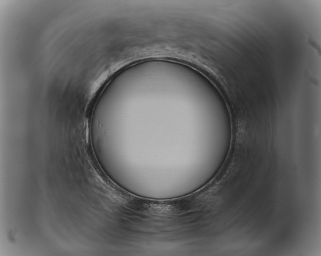 X0000101221509200807111044
