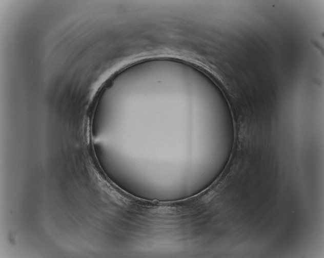X0000101221510200807111044