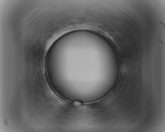 X0000101221512200807111044