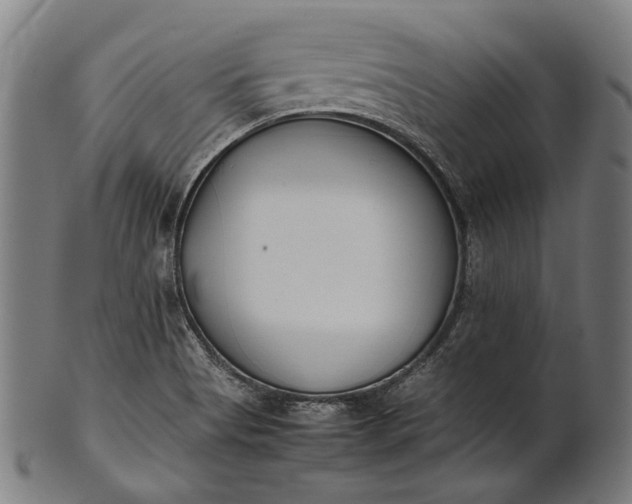 X0000101221513200807111044