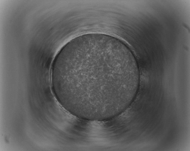X0000101221514200807111044