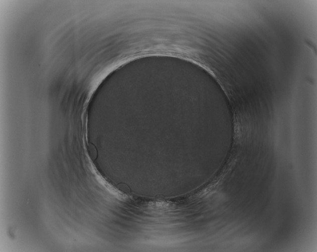 X0000101221515200807111044
