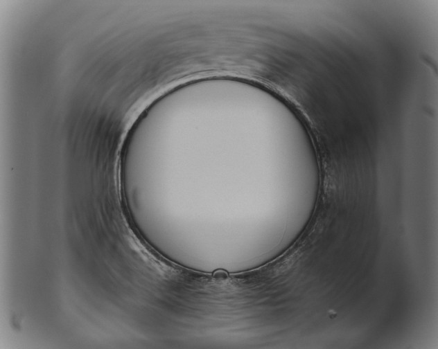 X0000101221516200807111044
