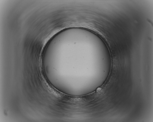 X0000101221517200807111044