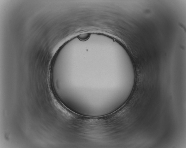X0000101221518200807111044