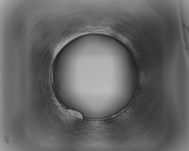 X0000101221520200807111044