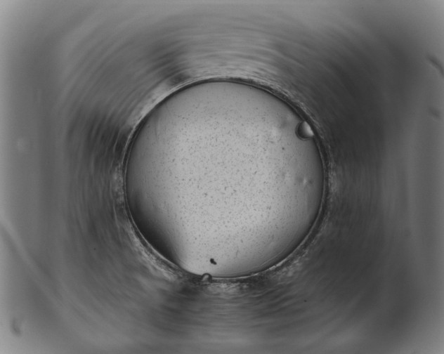 X0000101221521200807111044