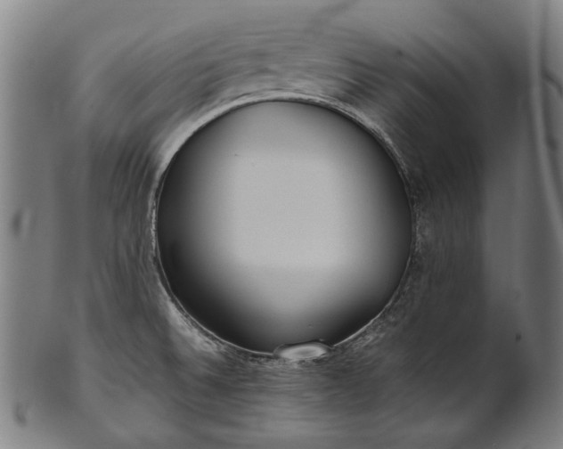 X0000101221524200807111044