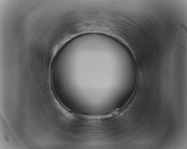 X0000101221525200807111044