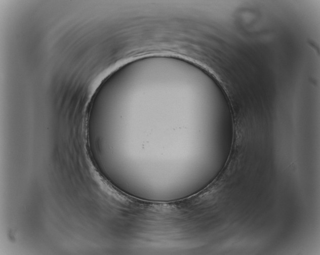 X0000101221526200807111044