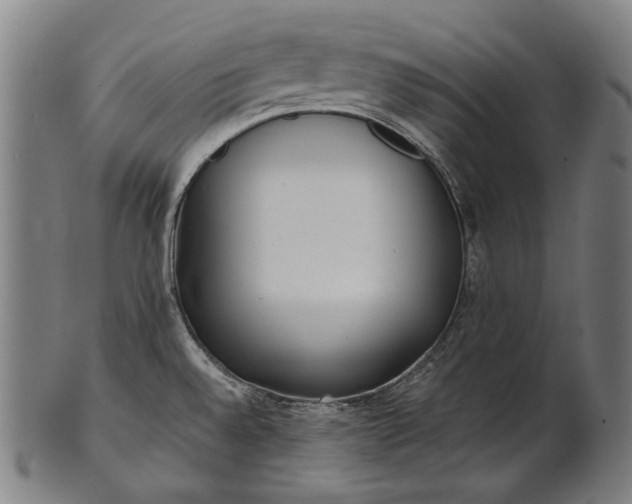 X0000101221528200807111044