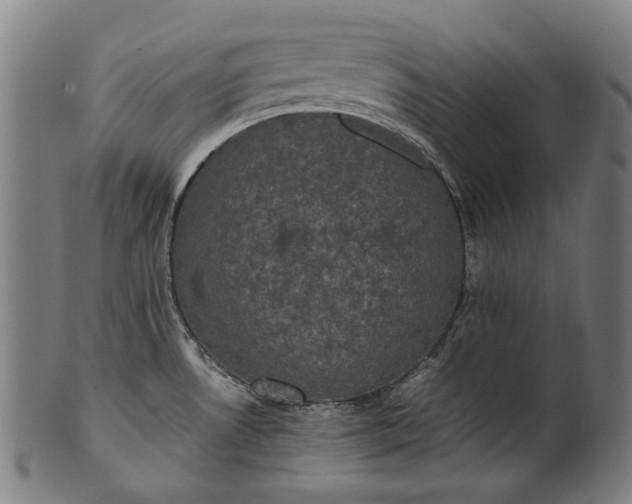 X0000101221530200807111045