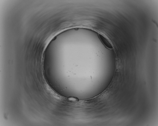 X0000101221532200807111045