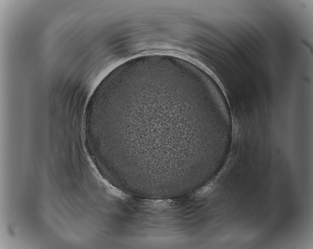 X0000101221533200807111045
