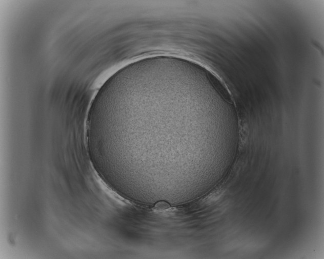 X0000101221535200807111045