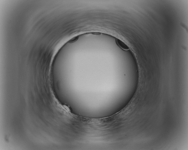 X0000101221536200807111045