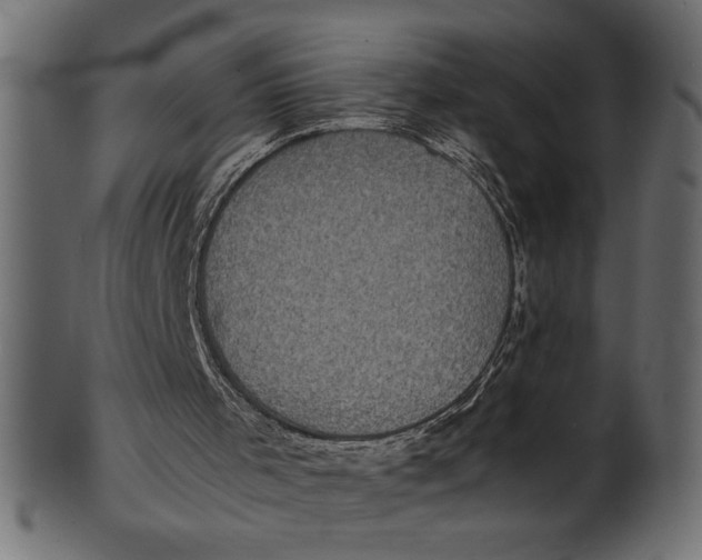 X0000101220001200807181602
