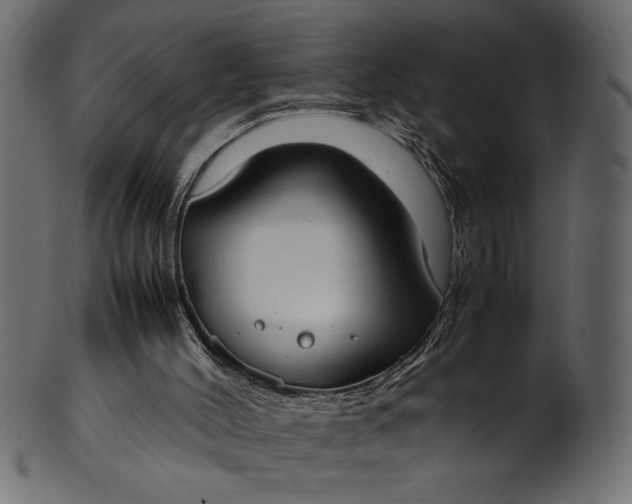 X0000101220004200807181602