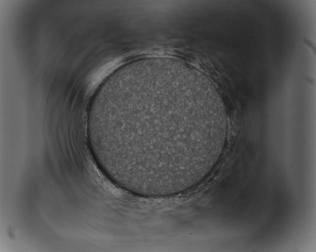 X0000101220005200807181602