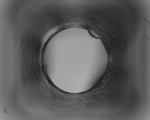 X0000101220006200807181602