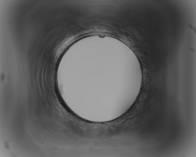 X0000101220007200807181602