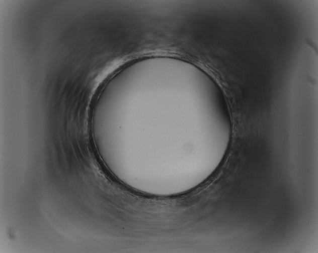 X0000101220008200807181602