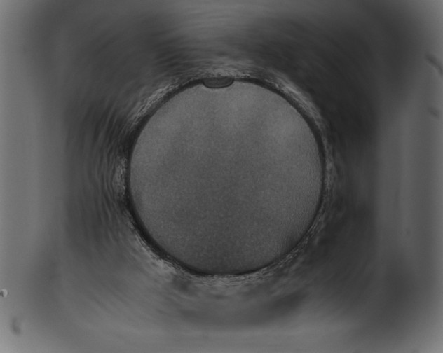 X0000101220009200807181602