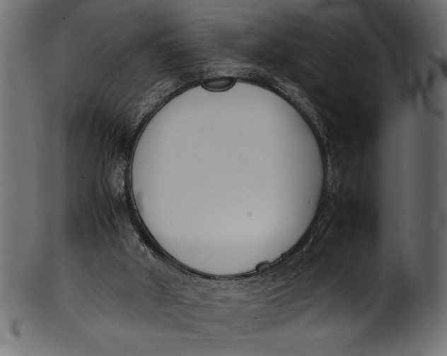 X0000101220010200807181602