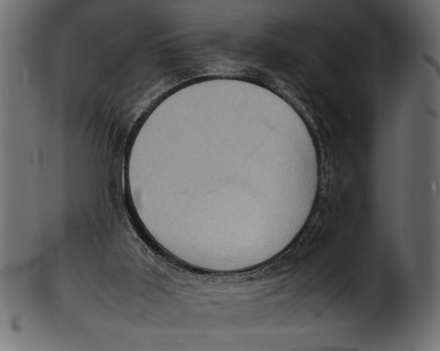 X0000101220011200807181602
