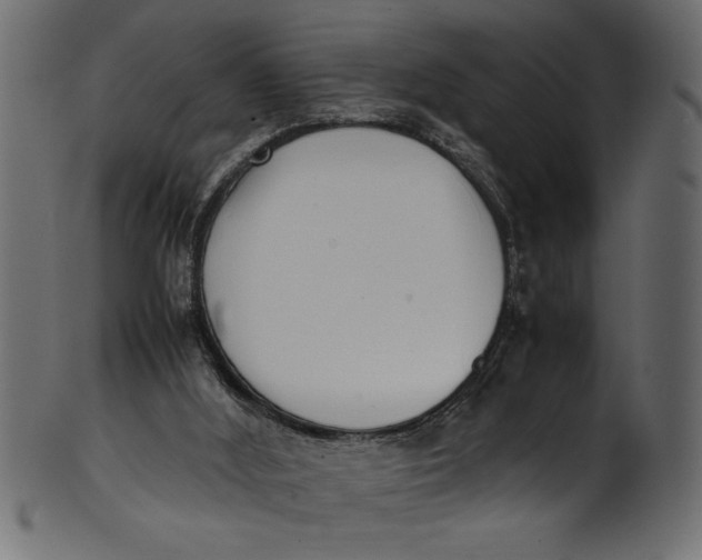 X0000101220012200807181602