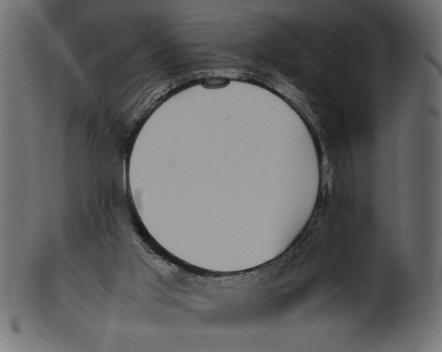 X0000101220013200807181602