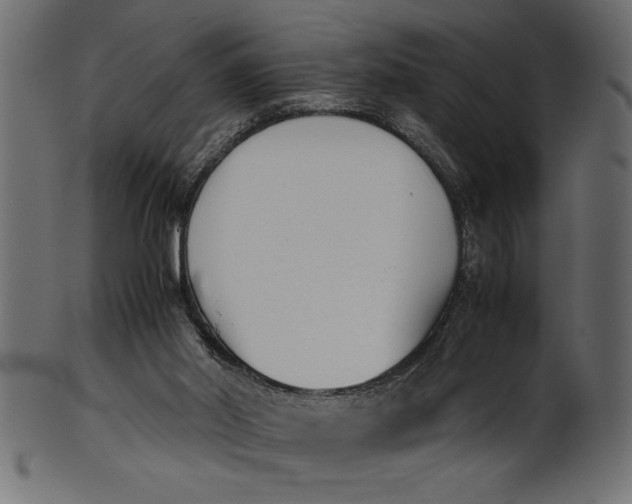 X0000101220014200807181602