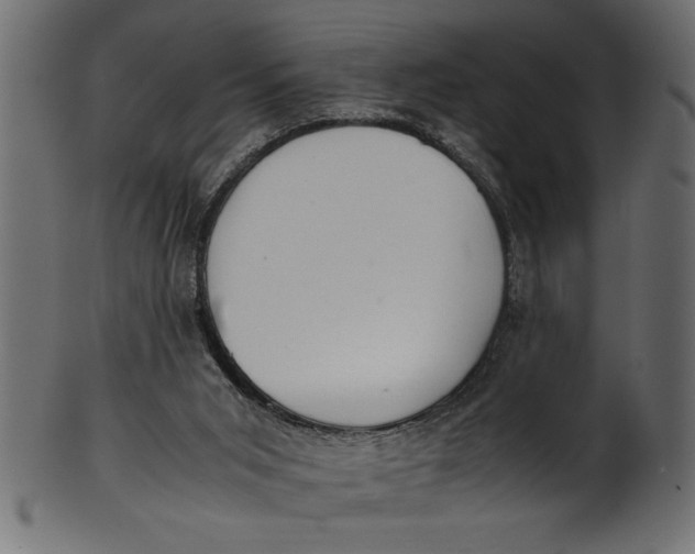 X0000101220015200807181602
