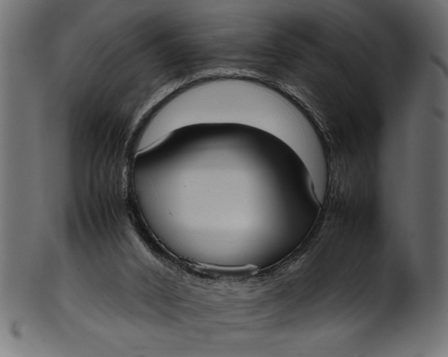 X0000101220016200807181602