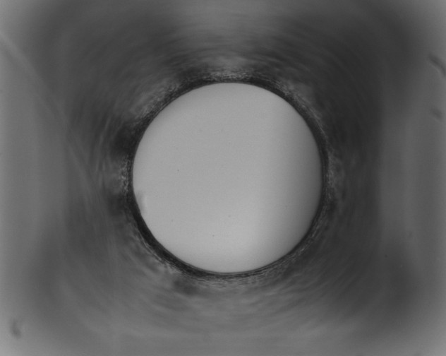 X0000101220017200807181602