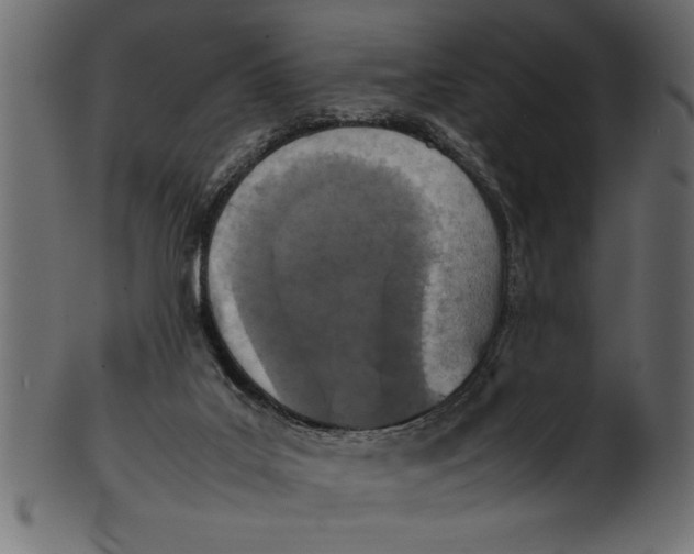 X0000101220019200807181602