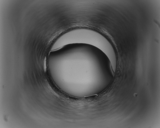 X0000101220020200807181602