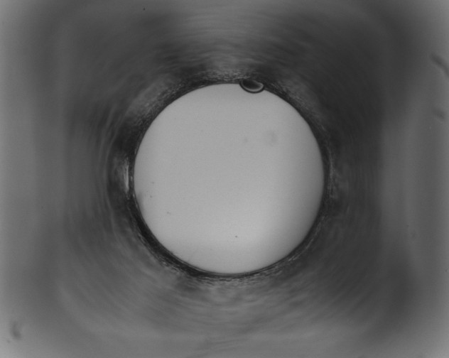 X0000101220021200807181602