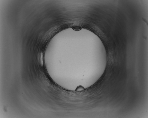 X0000101220022200807181602