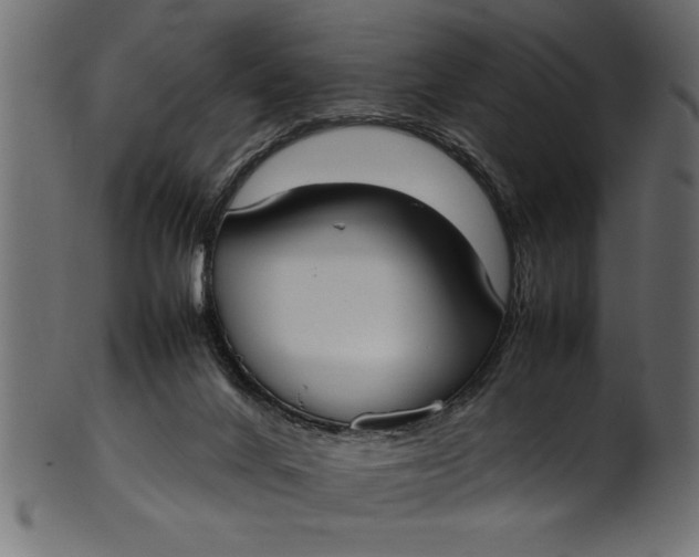 X0000101220024200807181602