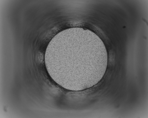 X0000101220025200807181602