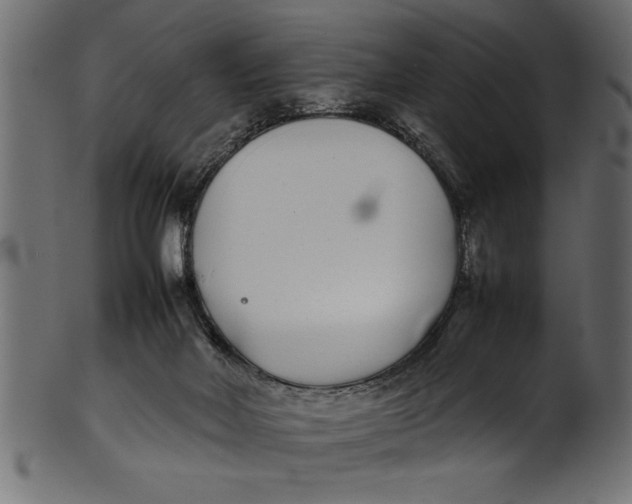 X0000101220026200807181602