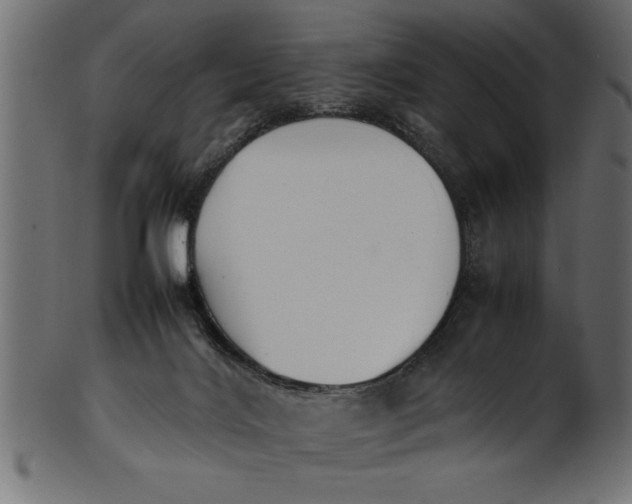X0000101220028200807181602