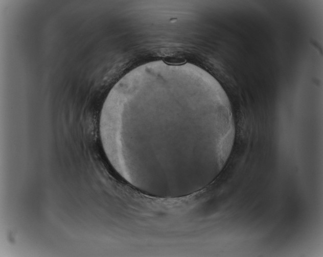 X0000101220031200807181602