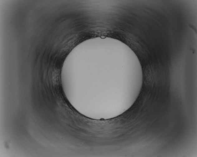 X0000101220034200807181602