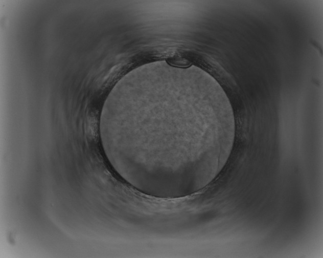 X0000101220035200807181602