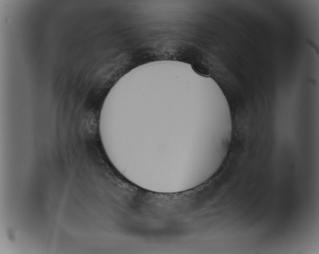 X0000101220037200807181602