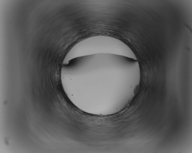 X0000101220040200807181602