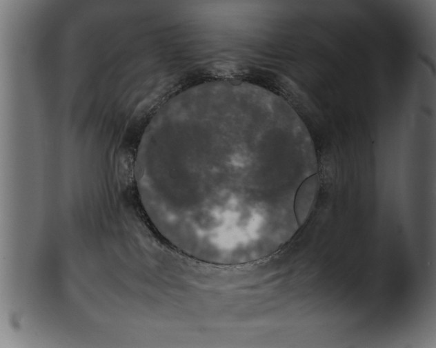 X0000101220043200807181602