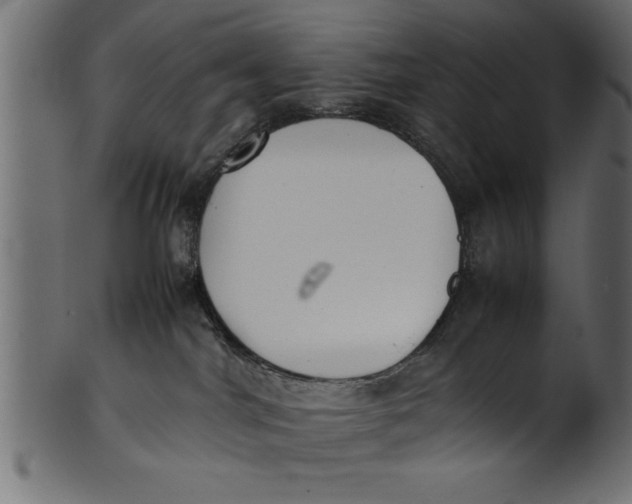 X0000101220044200807181602